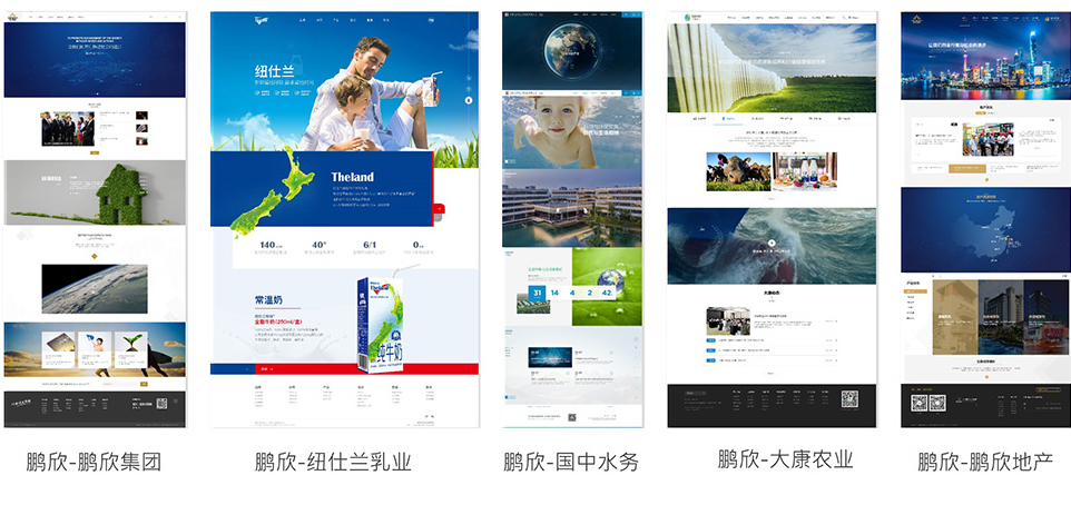 鵬欣集團品牌站群建設分析.jpg